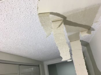 Nevada ceiling diy renovation